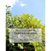 Fig Culture in North Carolina