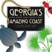 Georgia's Amazing Coast: Natural Wonders from Alligators to Zoeas