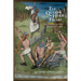 Elf Queens and Holy Friars: Fairy Beliefs and the Medieval Church
