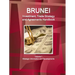 Brunei Investment, Trade Strategy and Agreements Handbook Volume 1 Strategic Information and Developments
