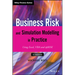 Business Risk and Simulation Modelling in Practice: Using Excel, VBA and @Risk