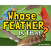 Whose Feather Is That?