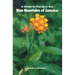 A Guide to the Plants of the Blue Mountains of Jamaica