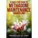 A Quick Start Guide to Methadone Maintenance Counseling