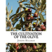 The Cultivation of the Olive: A Short Treatise With Special Reference to Fertilization