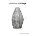 Introduction to Mridanga