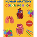 Human Anatomy Coloring Book for Kids: Human Body Coloring Sheets, Great Gift for Boys & Girls, Ages 4, 5, 6, 7, and 8 Years Old Children's Science Boo