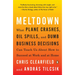 Meltdown: What Plane Crashes, Oil Spills, and Dumb Business Decisions Can Teach Us About How to Succeed at Work and at Home