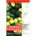 The Antibiotic Paradox