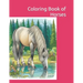 Coloring Book of Horses