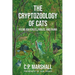The Cryptozoology of Cats