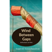 Wind Between Gaps: Reflections on Films