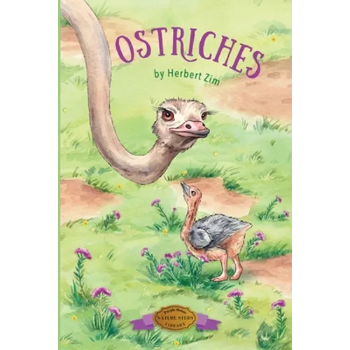 Ostriches
