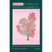 Radicle, or When the World Lived Inside Us: Poems