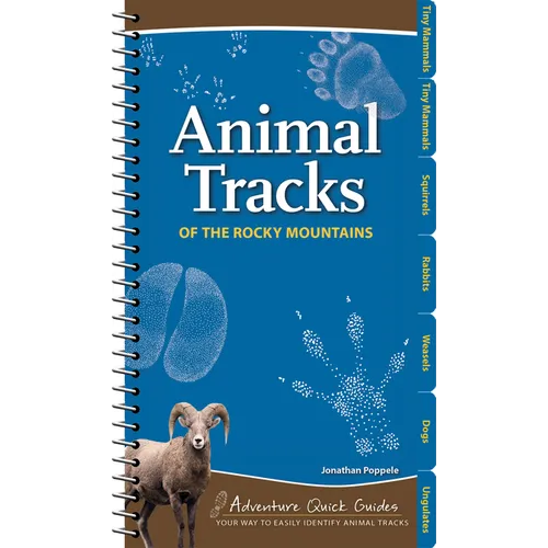 Animal Tracks of the Rocky Mountains: Your Way to Easily Identify Animal Tracks