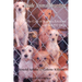Inside Animal Hoarding: The Story of Barbara Erickson and Her 522 Dogs