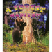 A Forest Habitat