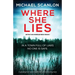 Where She Lies: A gripping Irish detective thriller with a stunning twist