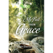 My Fall From Grace: The Gospel of a Sinner