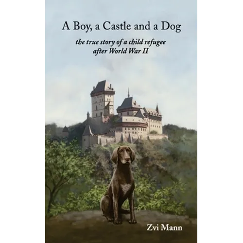 A Boy, A Castle and A Dog