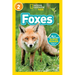 Foxes (National Geographic Kids Readers, Level 2)