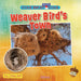 Weaver Bird's Town