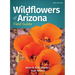 Wildflowers of Arizona Field Guide