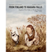 From Finland to Niagara Falls: Explorer Pehr Kalm in North America 1748-1751