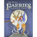 Amy Brown Faeries Coloring Book 5