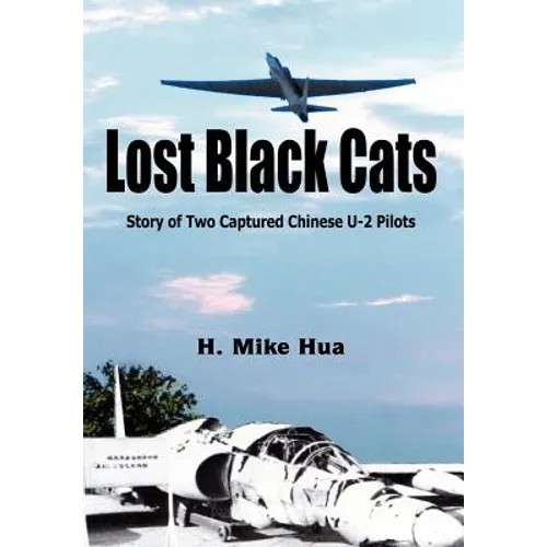 Lost Black Cats