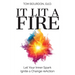 It Lit A Fire: Let Your Inner Spark Ignite a Change reAction