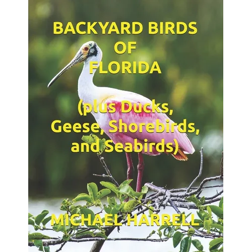 Backyard Birds of Florida