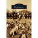 Potomac