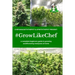 #Growlikechef: a complete beginners guide to growing autoflowering marijuana at home