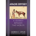 Apache Odyssey: A Journey Between Two Worlds (Revised)