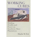 Working Cures: Healing, Health, and Power on Southern Slave Plantations
