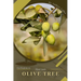 Olive Tree: Plant Guide