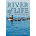 River of Life - How to Live in the Flow