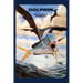 Dolphin: The Perfect Gamefish