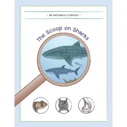 The Scoop on Sharks