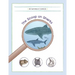 The Scoop on Sharks