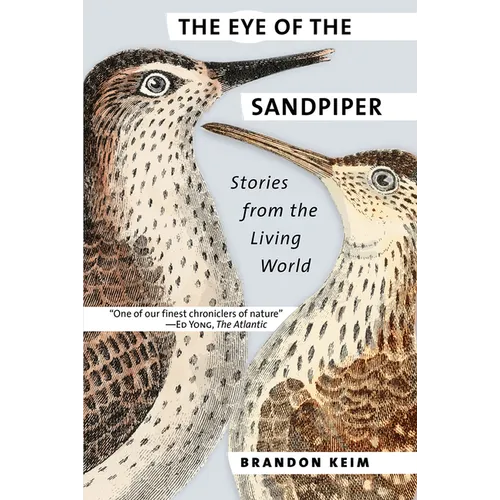 The Eye of the Sandpiper: Stories from the Living World
