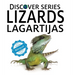 Lizards / Lagartijas