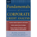 Standard & Poor's Fundamentals of Corporate Credit Analysis (Pb)