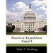 Punitive Expedition Report