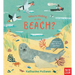 Who's Hiding at the Beach?