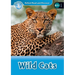 Wild Cats