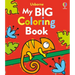 My Big Coloring Book