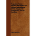 Projective Vector Algebra; An Algebra Of Vectors Independent Of The Axioms Of Congruence And Of Parallels.