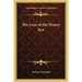 The Lore of the Honey Bee